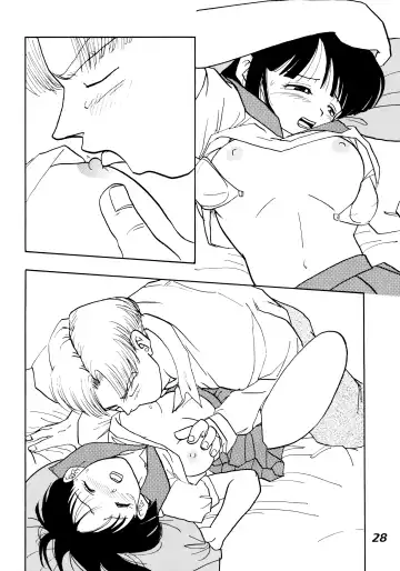 [Shouji Haruko - Shouji Haruzo] Irohani Fhentai - Page 28