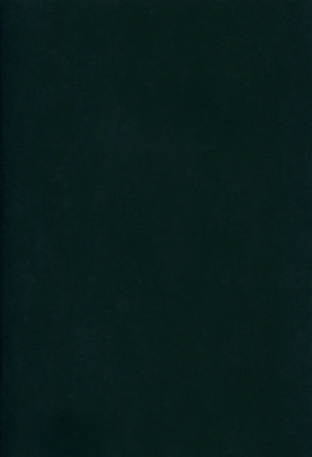 [Kurun] Terutsuki chan no zyunan Fhentai - Page 3