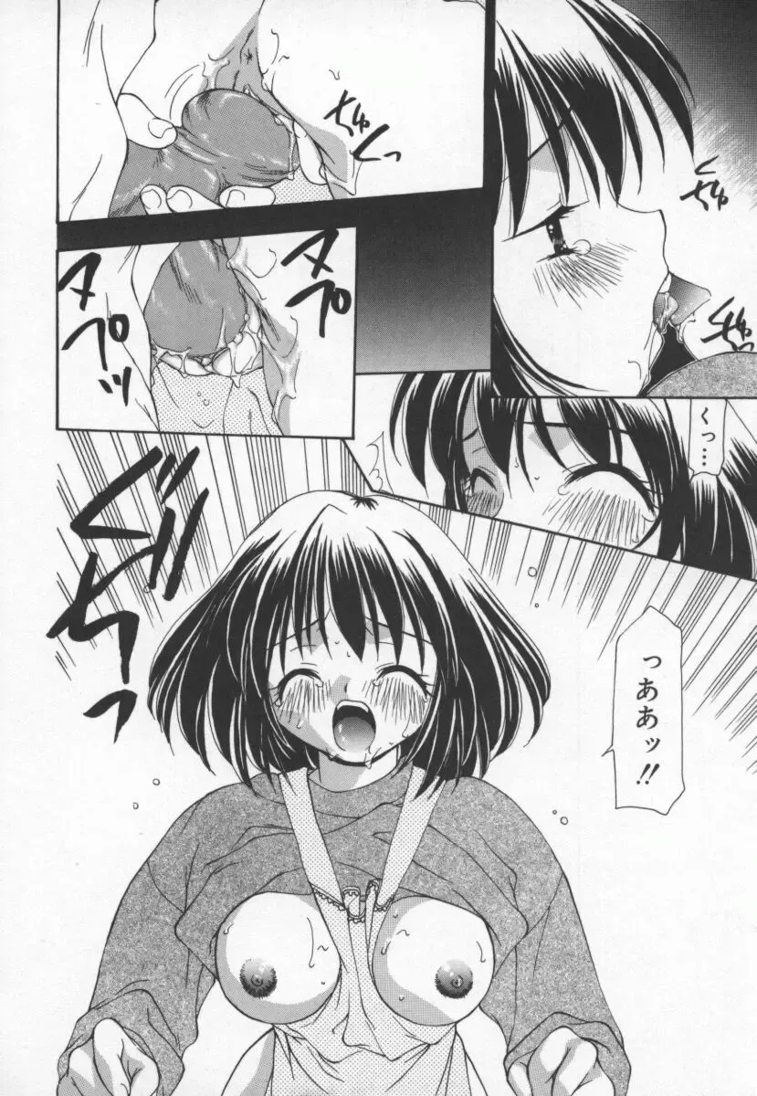 [Sou Akiko] Cats On The Black Cage Fhentai - Page 16