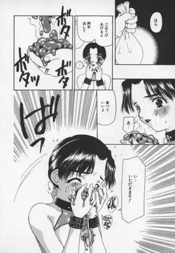 [Sou Akiko] Cats On The Black Cage Fhentai - Page 158