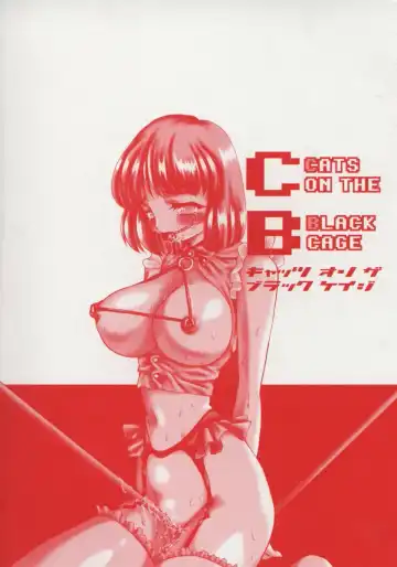 [Sou Akiko] Cats On The Black Cage Fhentai - Page 6