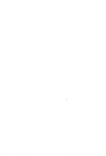 [Nilitsu] About18cm 3rd Fhentai - Page 2