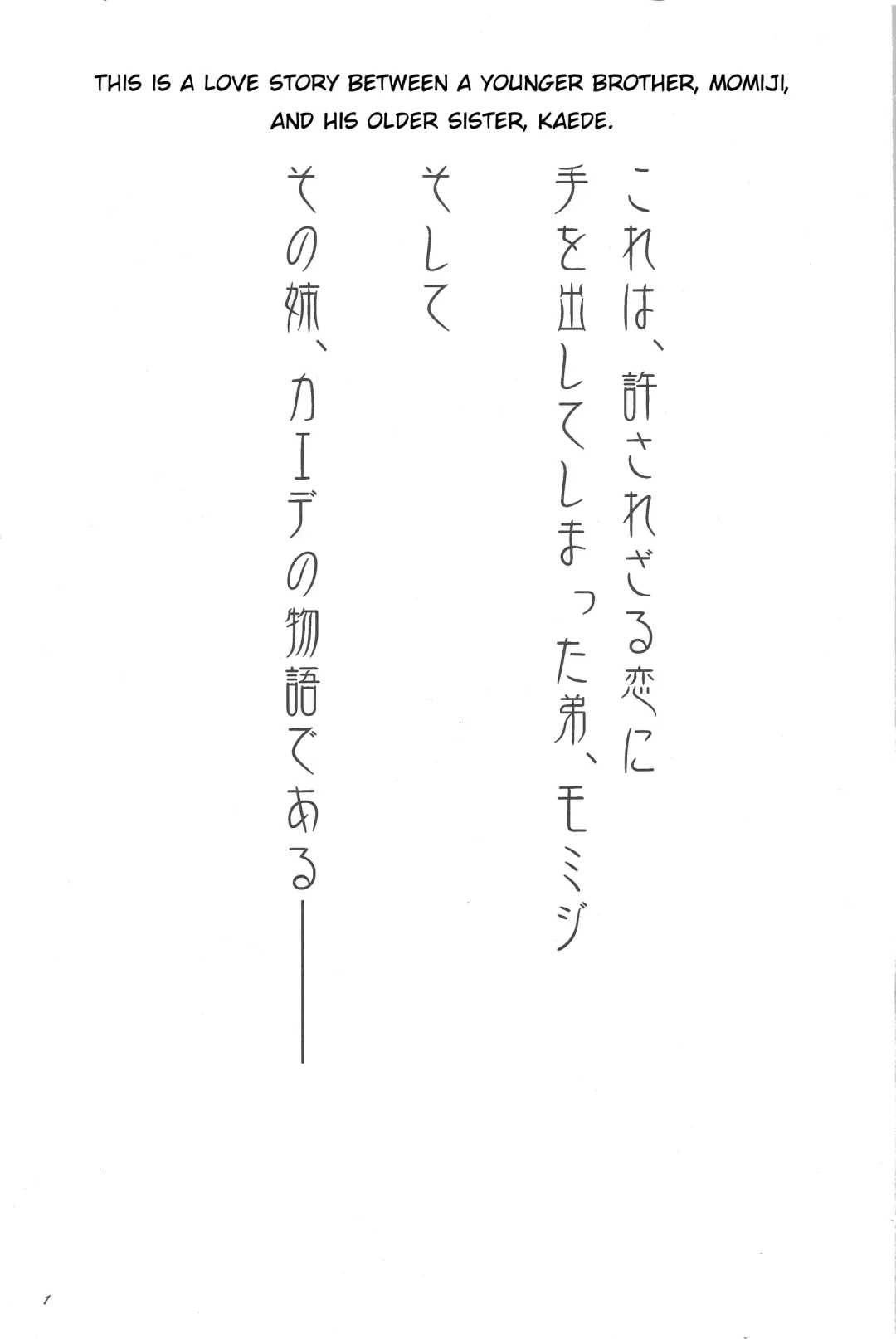 [Biidama] The Magic Flare Fhentai - Page 2