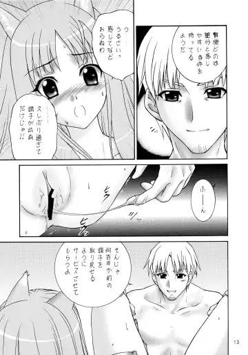 [Aimirucha] Ookami no Full Course Fhentai - Page 13