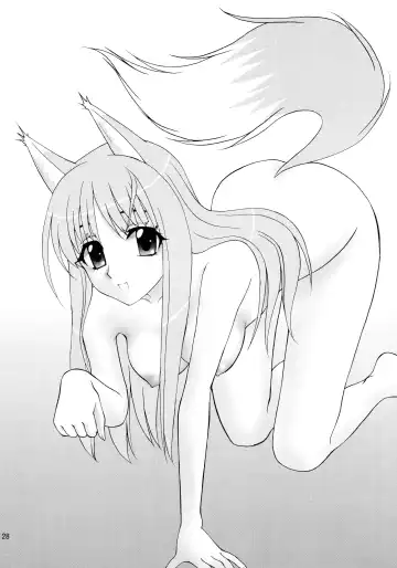 [Aimirucha] Ookami no Full Course Fhentai - Page 28