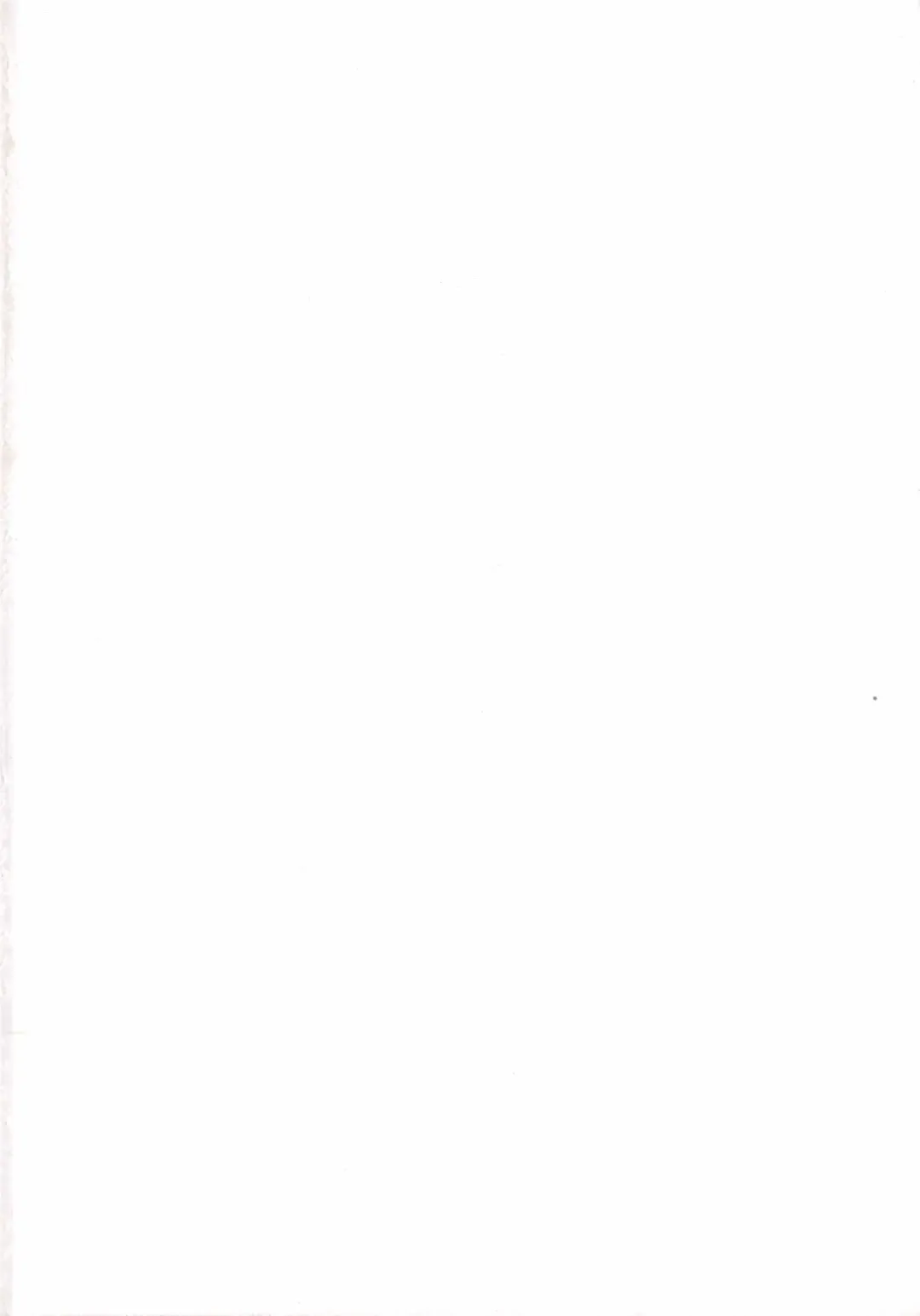 [Sadokko] Aigan Ningyou Fhentai - Page 5