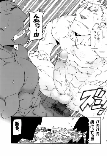 [Toratora] Nonbiri Kemonomichi Bangai-hen Kishu Tokushuu Fhentai - Page 43