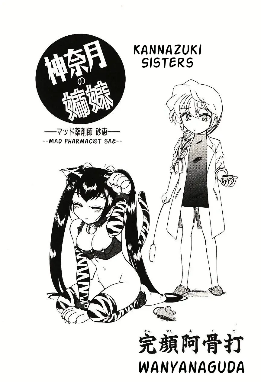 [Wanyanaguda] Kannaduki no Shimai - Mad Yakuzaishi Sae Fhentai - Page 3