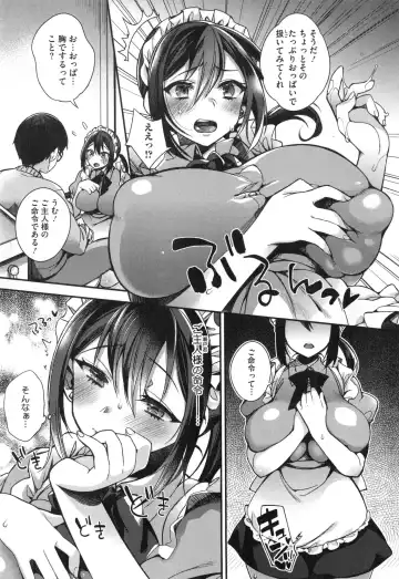 [Shindou] Ojou-sama to Maid no Midara na Seikatsu Fhentai - Page 18