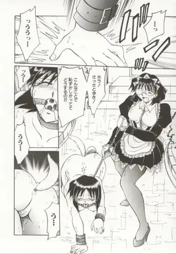 [Sakaguchi Shizuka - Shizuka] Go Housi Reijyou Fhentai - Page 123