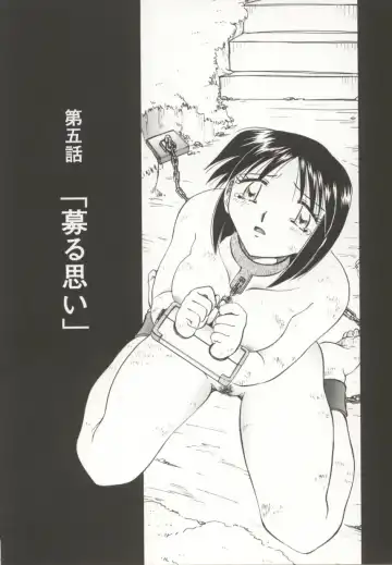 [Sakaguchi Shizuka - Shizuka] Go Housi Reijyou Fhentai - Page 66