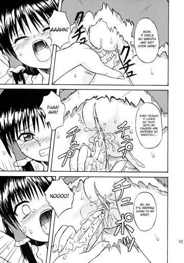 [Takaku Toshihiko] Touhou Youjo Ranbu 7 | Touhou Enchantresses' Dance 7 Fhentai - Page 52