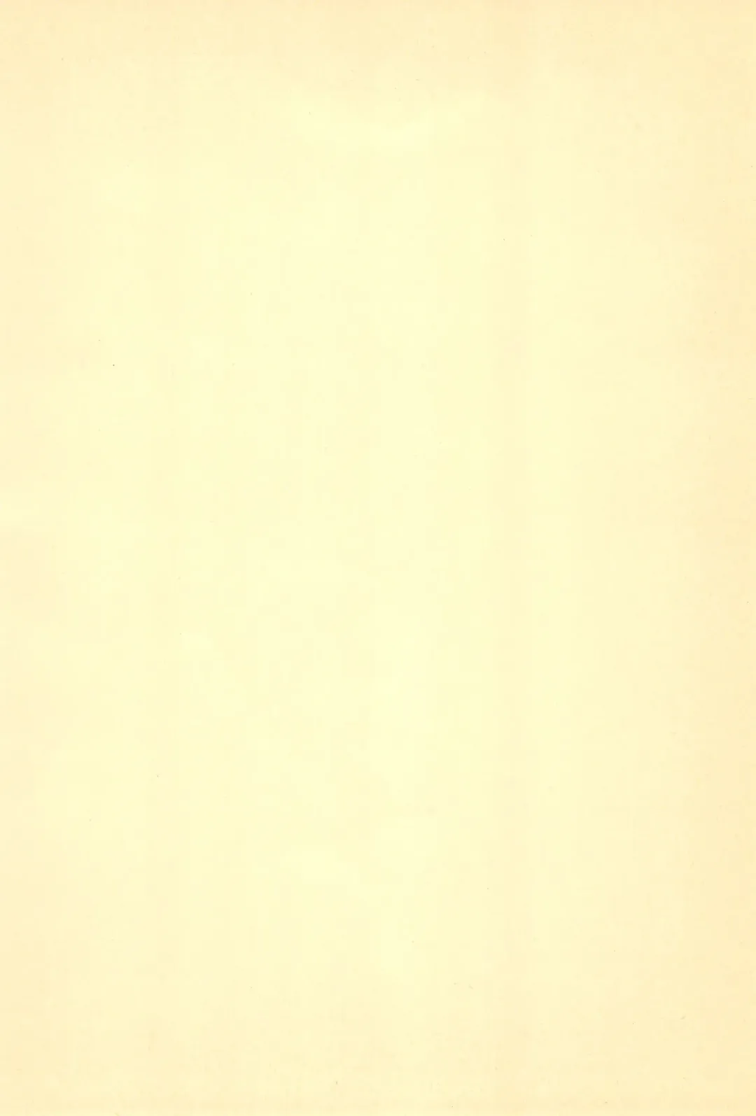 [Tama Noboru] Pakkun Fhentai - Page 30