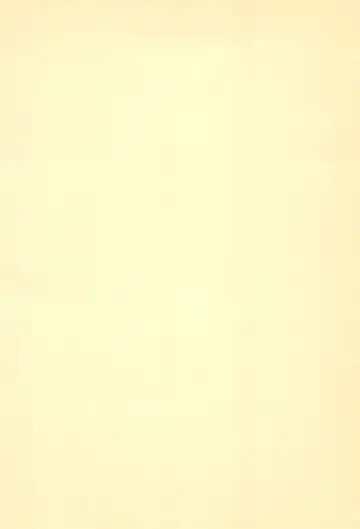 [Tama Noboru] Pakkun Fhentai - Page 4