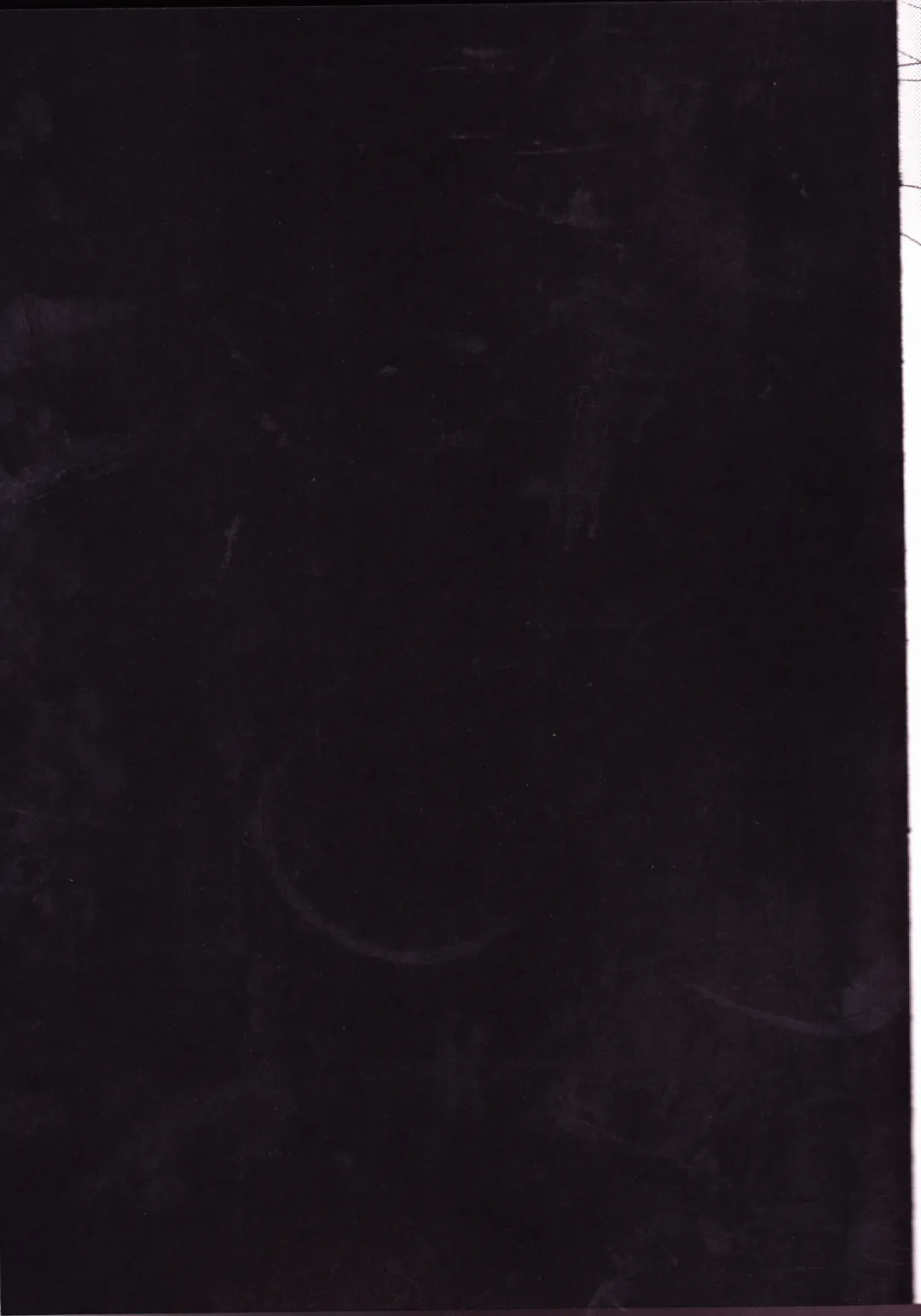 [Inugami Johnny] Caesar Salad Ontama Nose Fhentai - Page 2