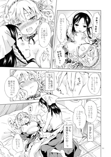 [Mira] Hime-sama to Dorei-chan Fhentai - Page 32