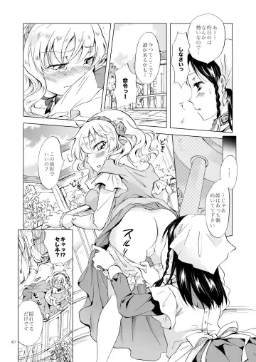 [Mira] Hime-sama to Dorei-chan Fhentai - Page 39