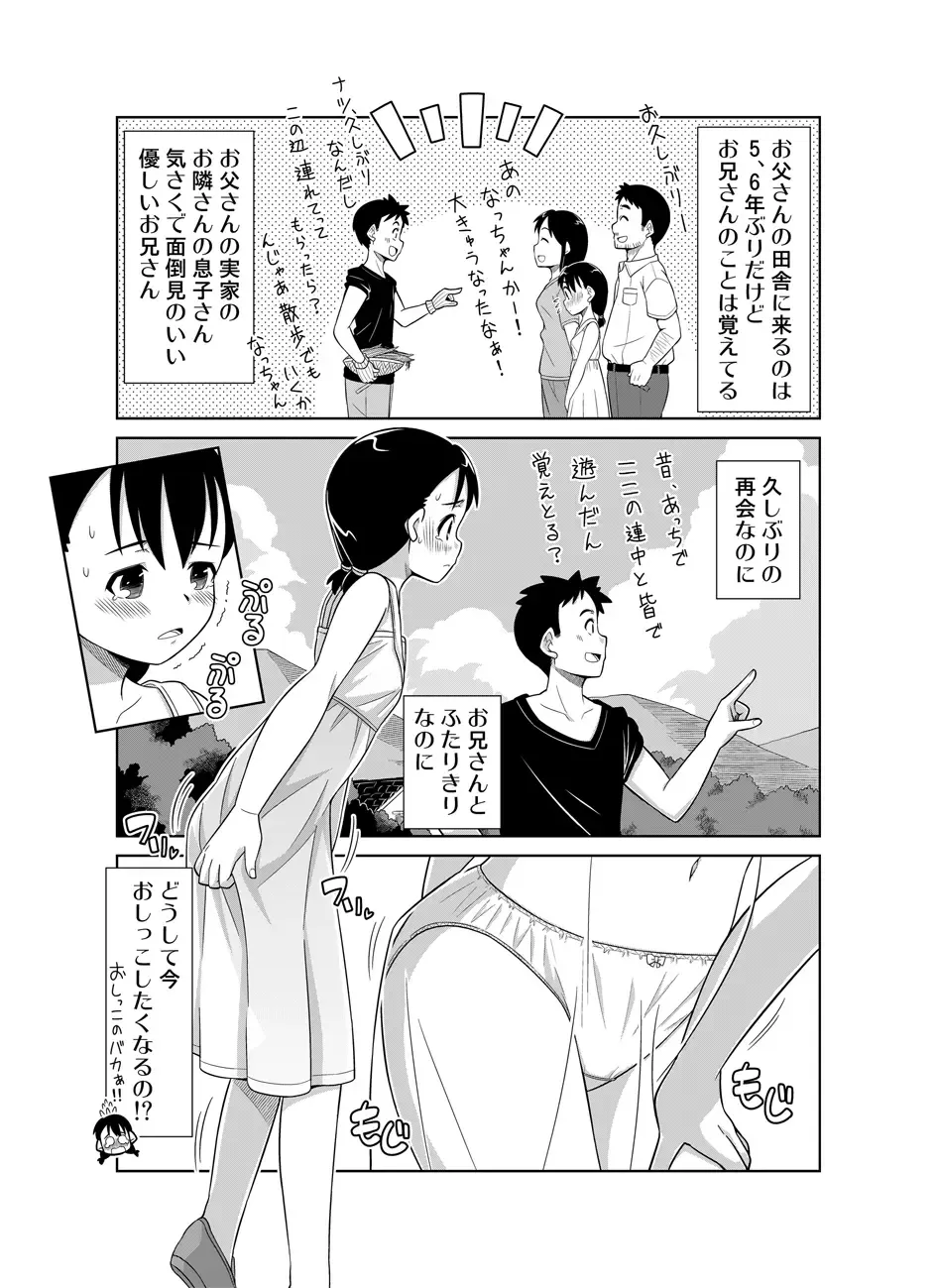 [Zegga] Natsu no Nukumori Fhentai - Page 3