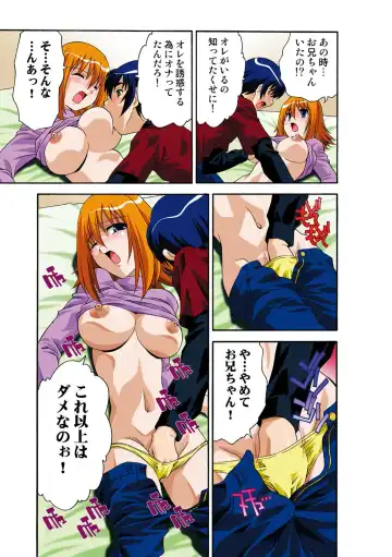 [Hindenburg] Itsuka Imouto o Okashisou na Ore no Nikuyoku Fhentai - Page 28