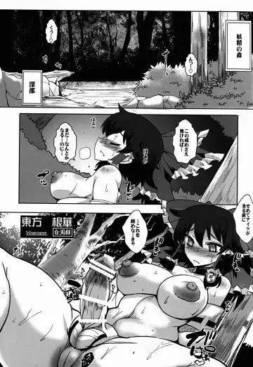 [Bbsacon - Hato] Touhou Inkonka Hakudakuroku Fhentai - Page 3