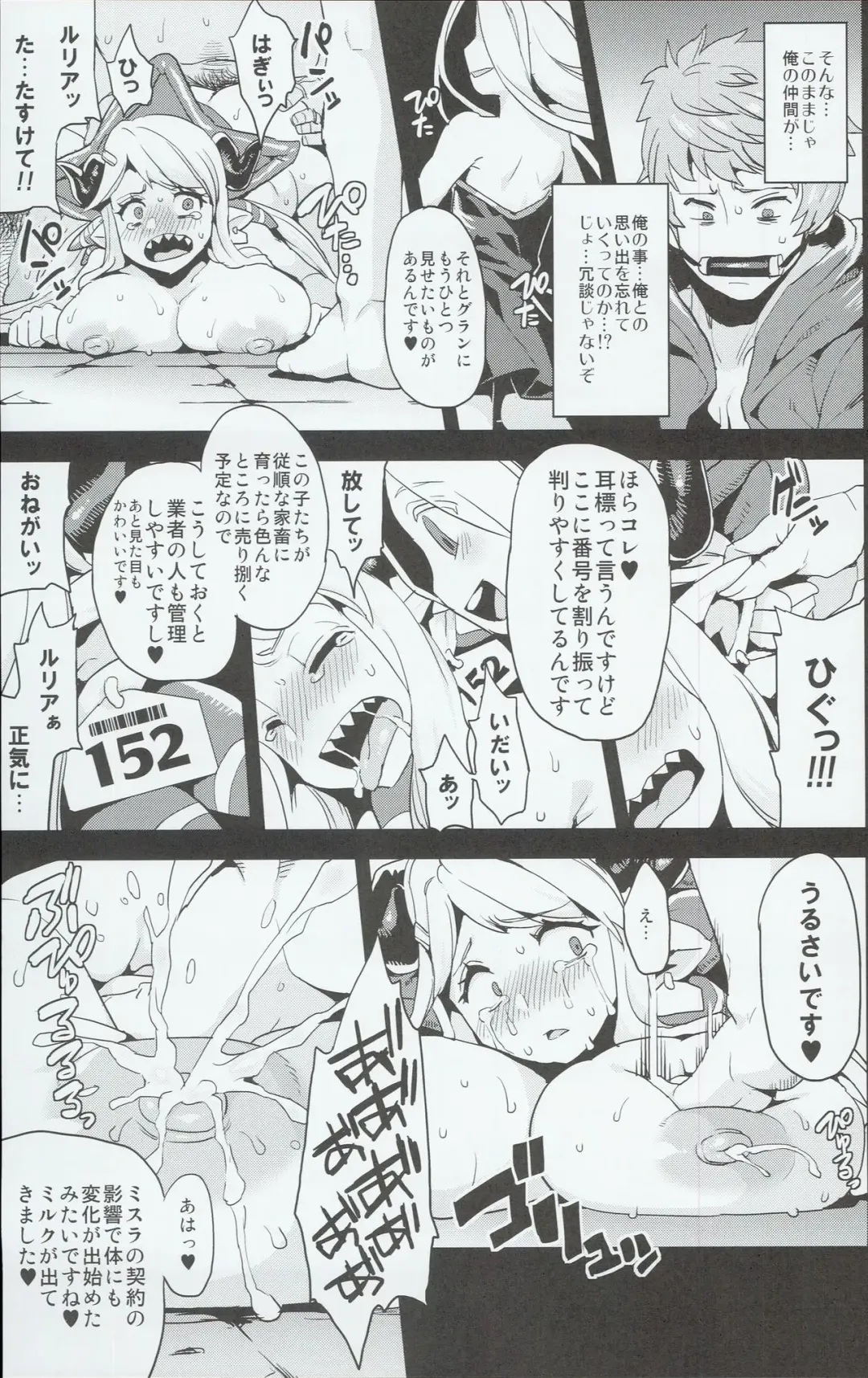 [Obui] Hentai Draph Bokujou Fhentai - Page 13