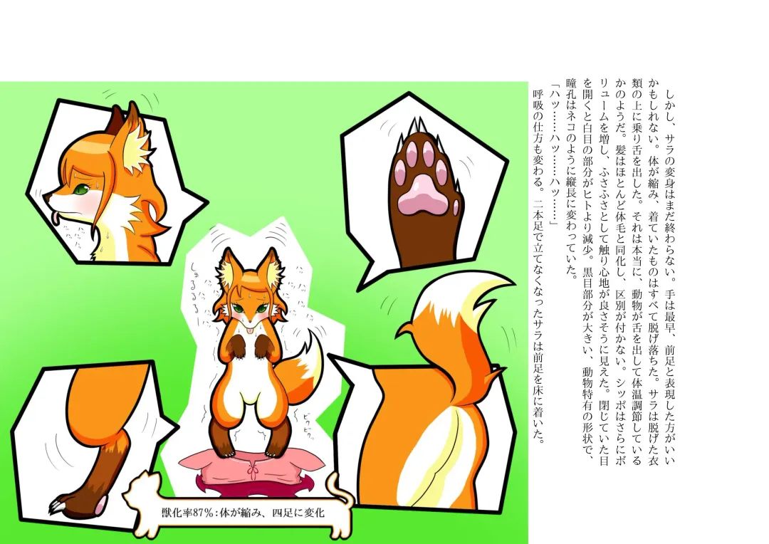 [Henka] Kemokko Henshintan 1 Fhentai - Page 29