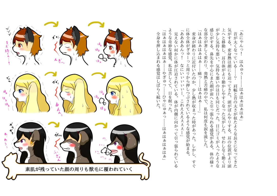 [Henka] Kemokko Henshintan 1 Fhentai - Page 84