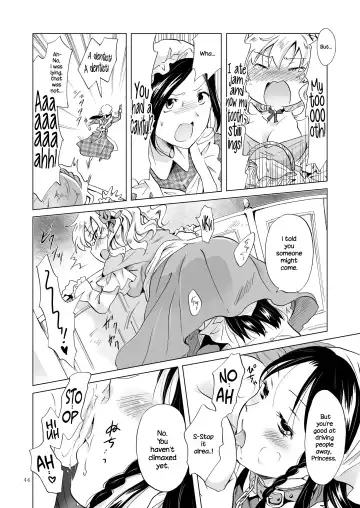 [Mira] Hime-sama to Dorei-chan | The Princess and the Slave Fhentai.net - Page 43