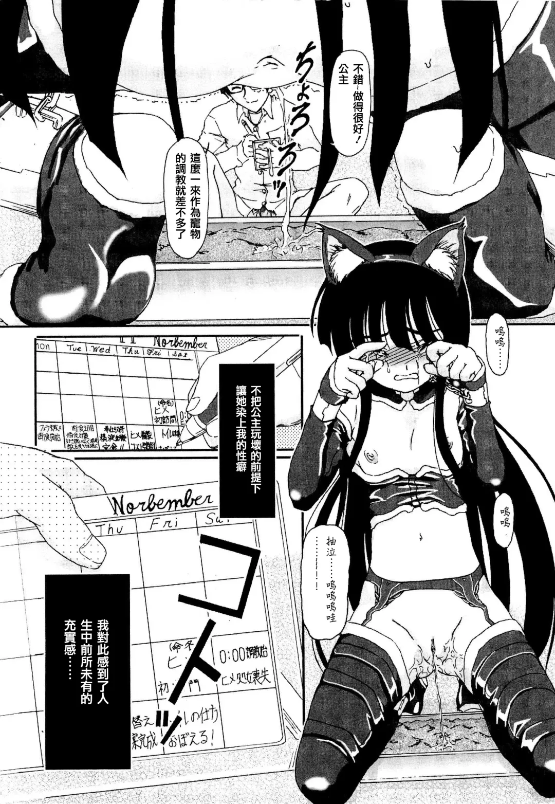 [Fujimiya Hiroshi] Shoujo no Kaikata Shitsukekata ~ Bishoujo Kankin Shiiku Nikki ~ (decensored) Fhentai - Page 40