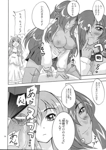 [Amanogami Dai] Eroi Tsukaima Fhentai - Page 14