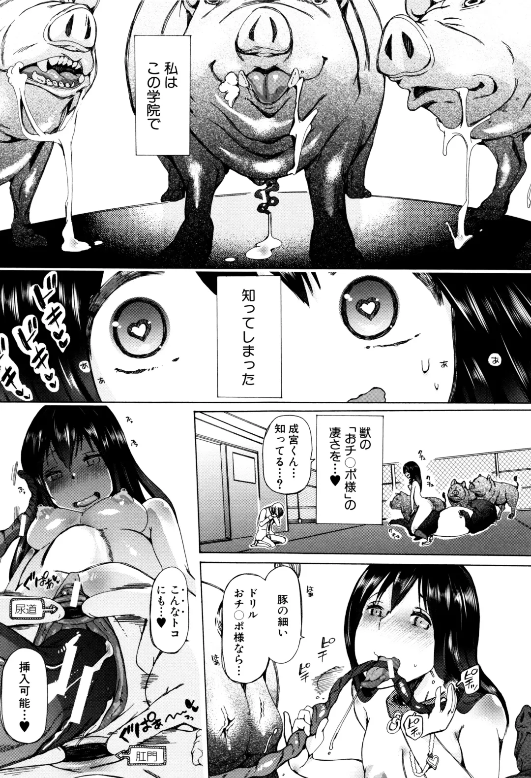 [Chikiko] Juukan Kyoushitsu - Bestiality Class Fhentai.net - Page 42