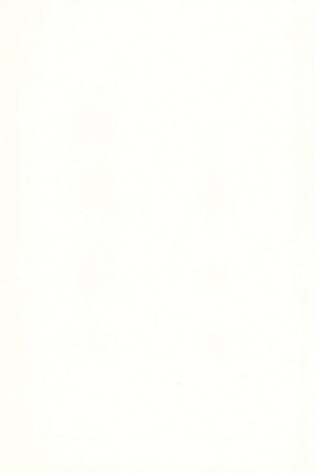 [Fey Tas] L-TYPE Fhentai - Page 21