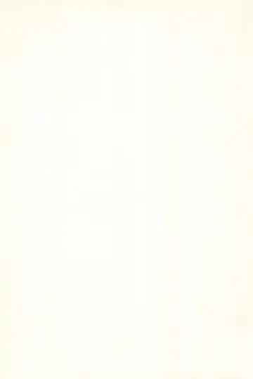 [Fey Tas] L-TYPE Fhentai - Page 4