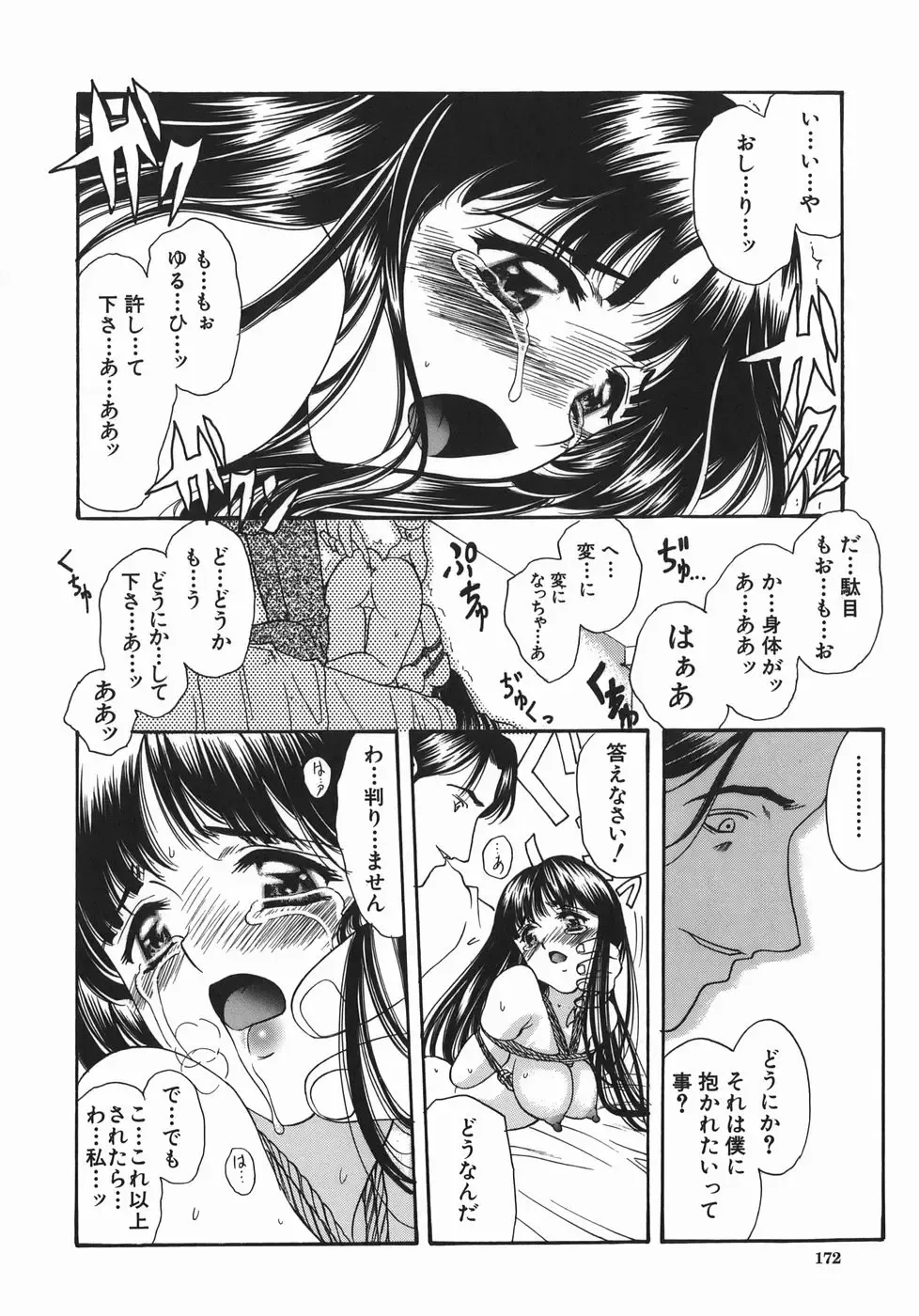 [Amayumi] Ruri no Ato - Tears of Lapis Lazuli Fhentai - Page 171
