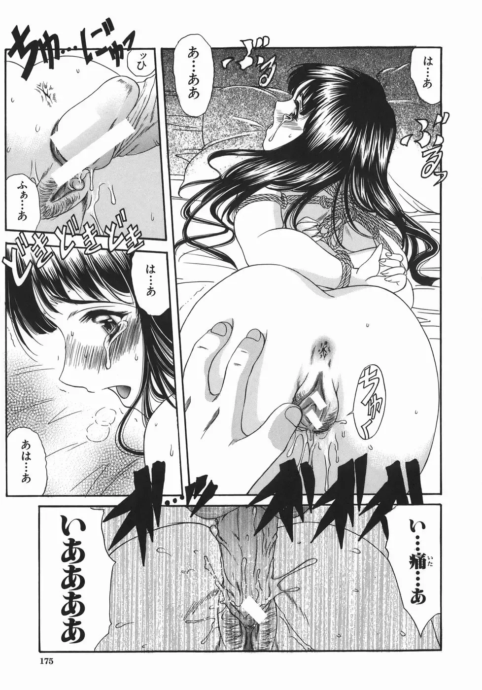 [Amayumi] Ruri no Ato - Tears of Lapis Lazuli Fhentai - Page 174