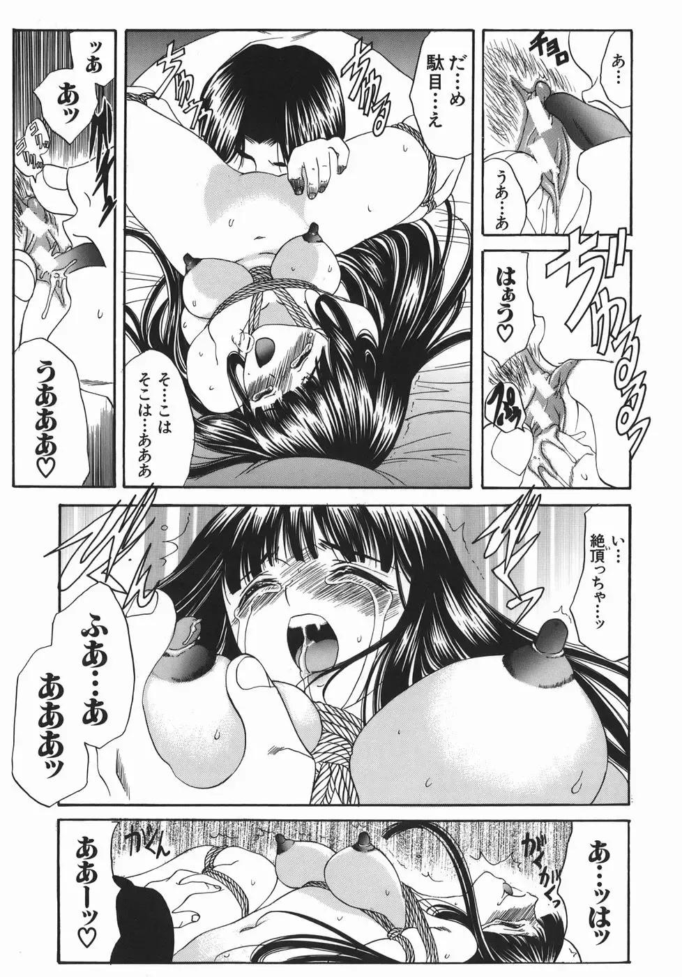 [Amayumi] Ruri no Ato - Tears of Lapis Lazuli Fhentai - Page 192