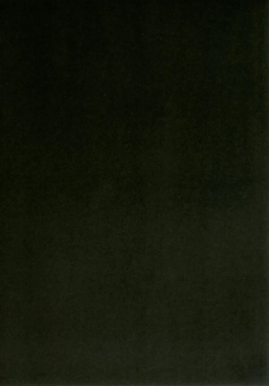 [Sinori] Koishi-chan no Ecchi na Hon! Fhentai - Page 14