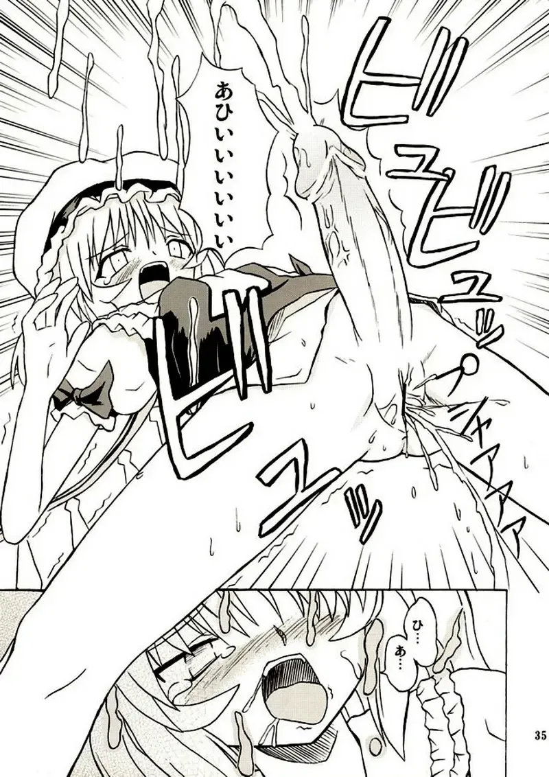 [Takaku Toshihiko] Touhou Youjo Ranbu 2 Fhentai - Page 34