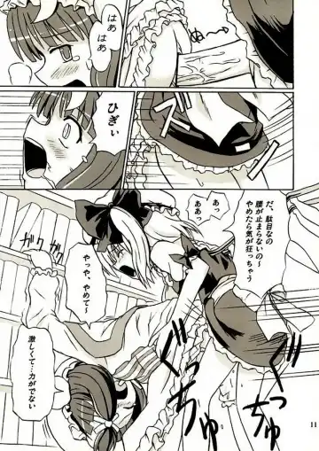 [Takaku Toshihiko] Touhou Youjo Ranbu 2 Fhentai - Page 10