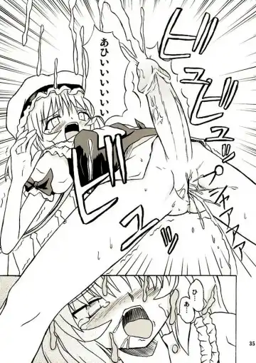 [Takaku Toshihiko] Touhou Youjo Ranbu 2 Fhentai - Page 34