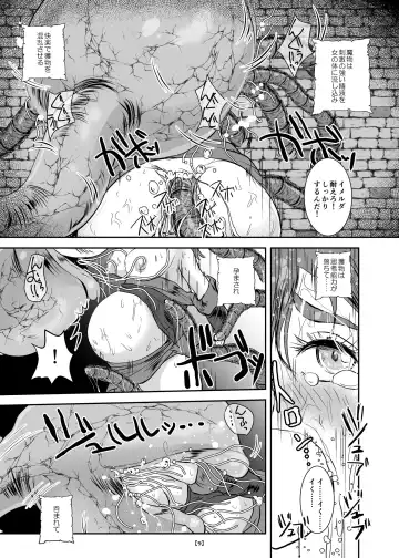 [Takaishi Fuu] Marunomijo no Himekishi Fhentai - Page 14