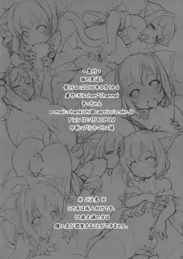 [Kicchan] Neko no Ongaeshi Fhentai - Page 18