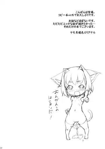 [Kicchan] Neko no Ongaeshi Fhentai - Page 3