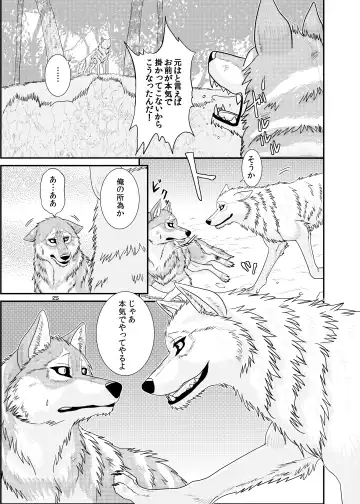 [Nosada] Wansaka Fhentai - Page 25