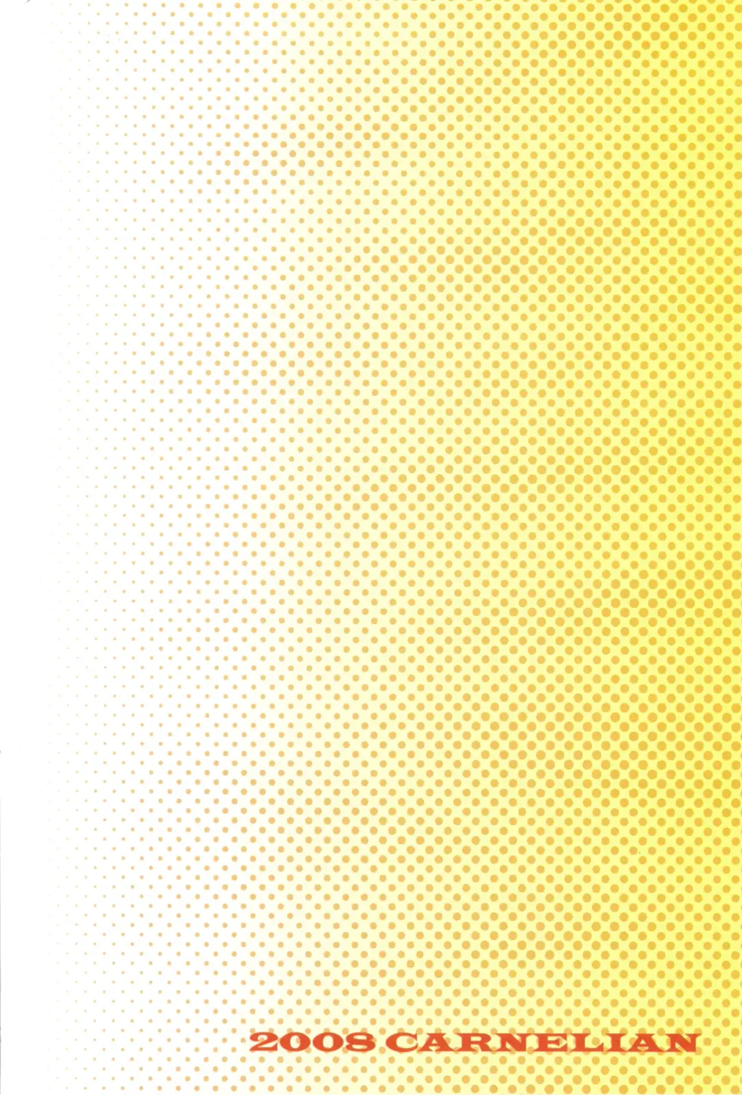 [Carnelian] MIDNIGHT CAR RADIO VOL. 2 Fhentai - Page 22