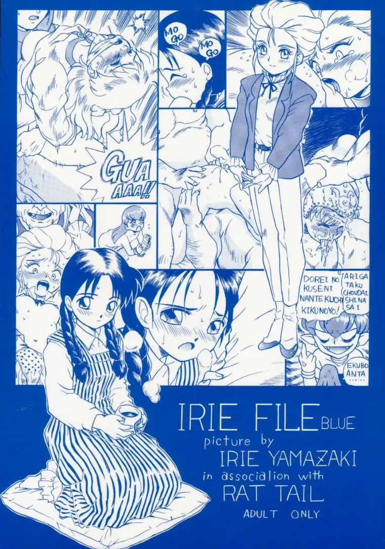 [Irie Yamazaki] IRIE FILE BLUE Fhentai - Page 78