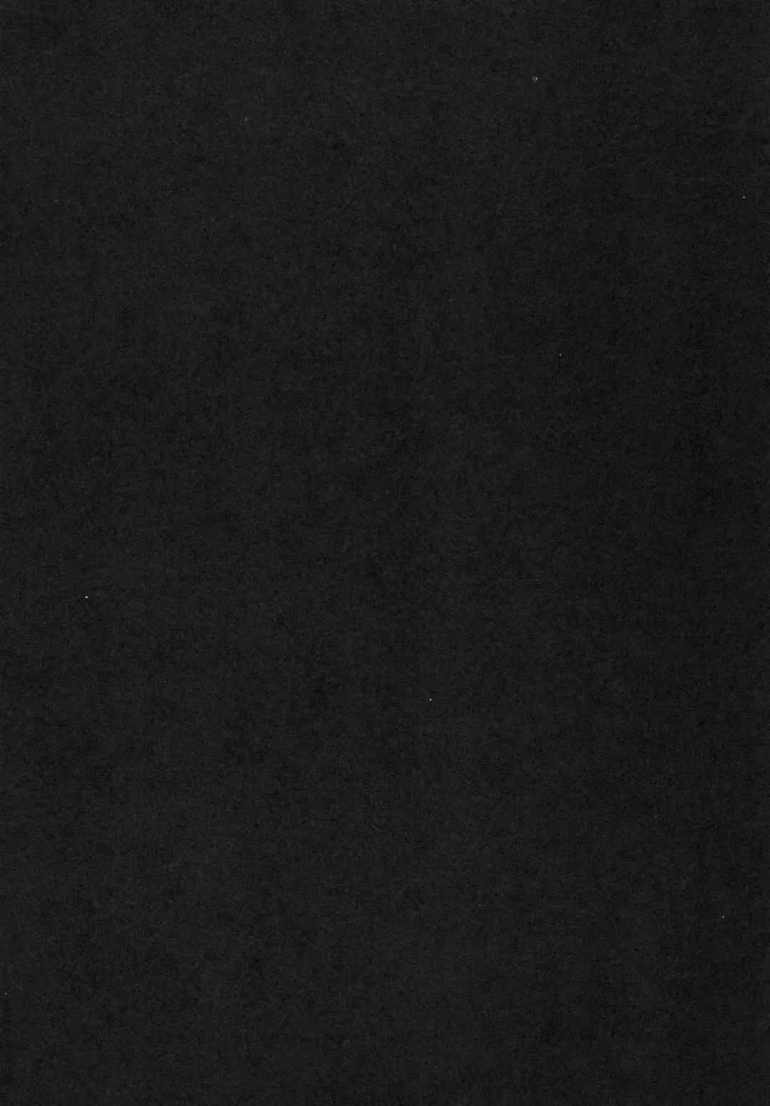 [Mirino - Ushitora Tatsumi] Marisa to Youmu no Yukemuri Ecchi Fhentai - Page 4