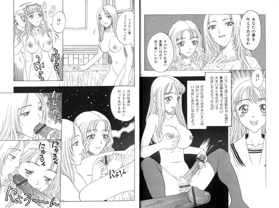 [Kobayashi Shounenmaru] Seidorei Mokuroku - Flesh Slave Catalog Fhentai - Page 8