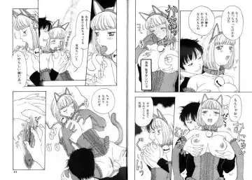 [Kobayashi Shounenmaru] Seidorei Mokuroku - Flesh Slave Catalog Fhentai - Page 23