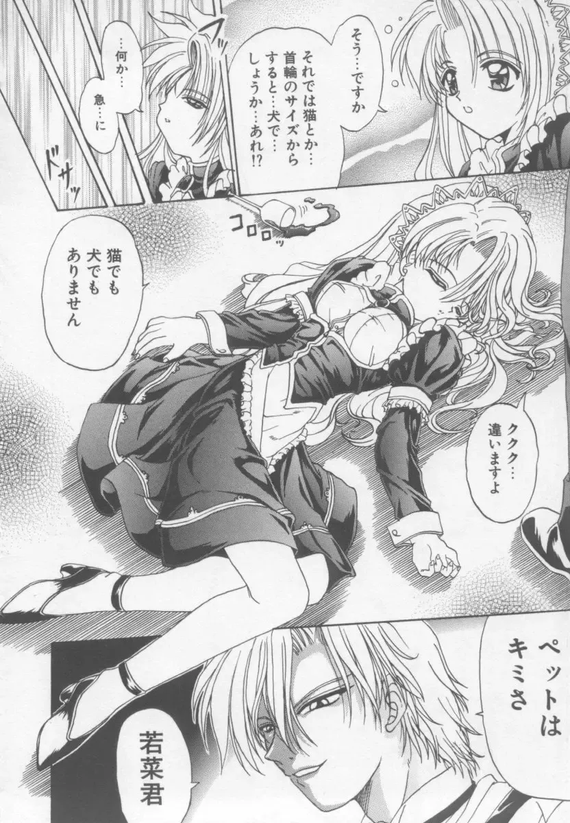 [Kotogi Raura] Xday Evolution Fhentai - Page 126